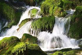 КАКУЮ ВОДУ ПИТЬ? КАКУЮ ВОДУ ПИТЬ?
